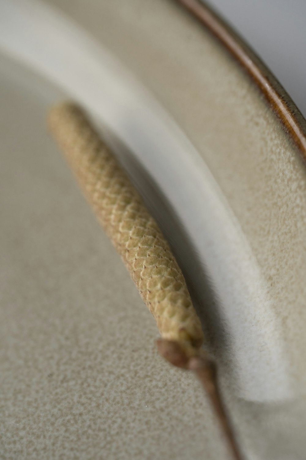 a close up of a plate with a small object on it