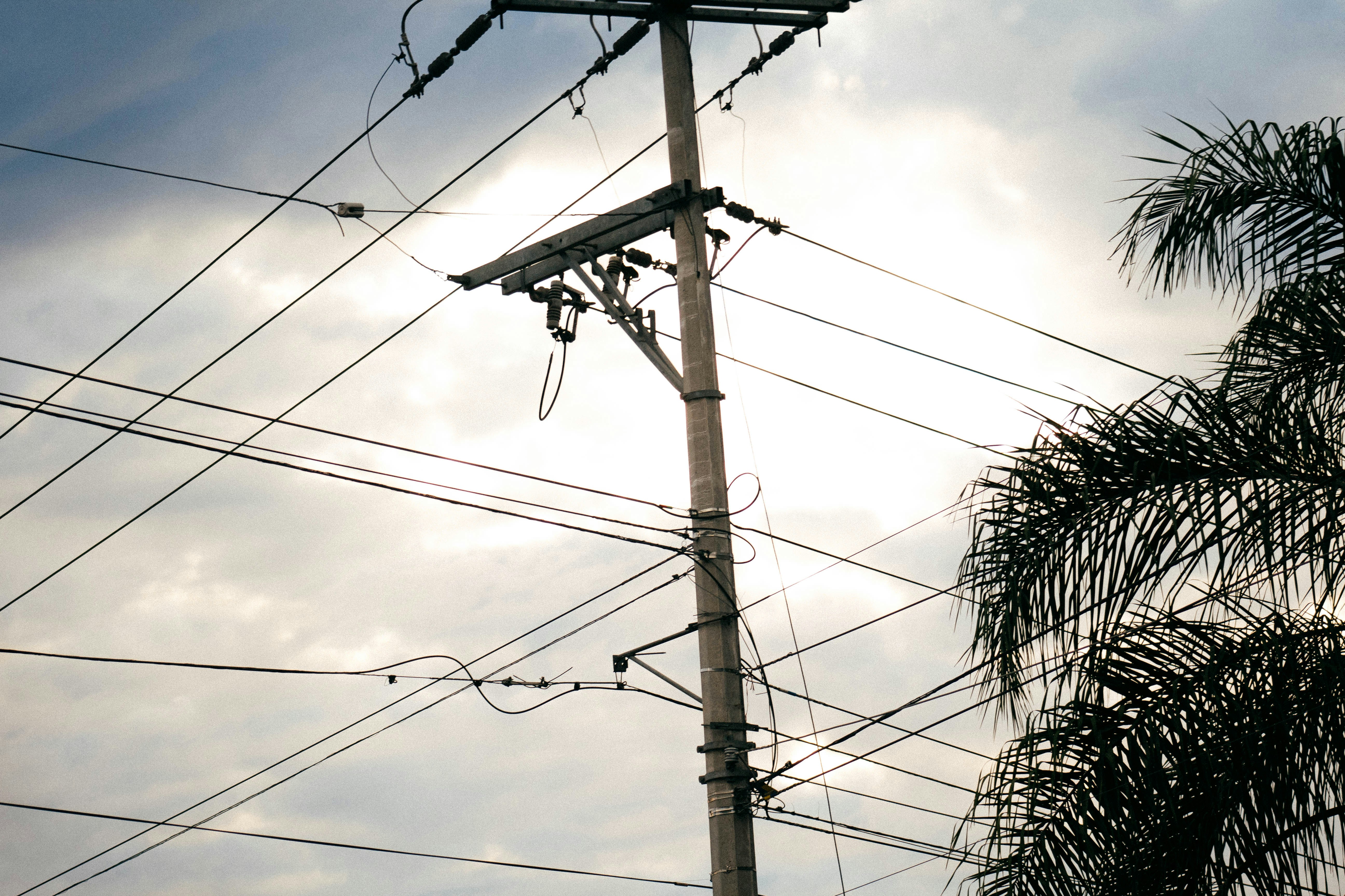 Photo by alexgallegos