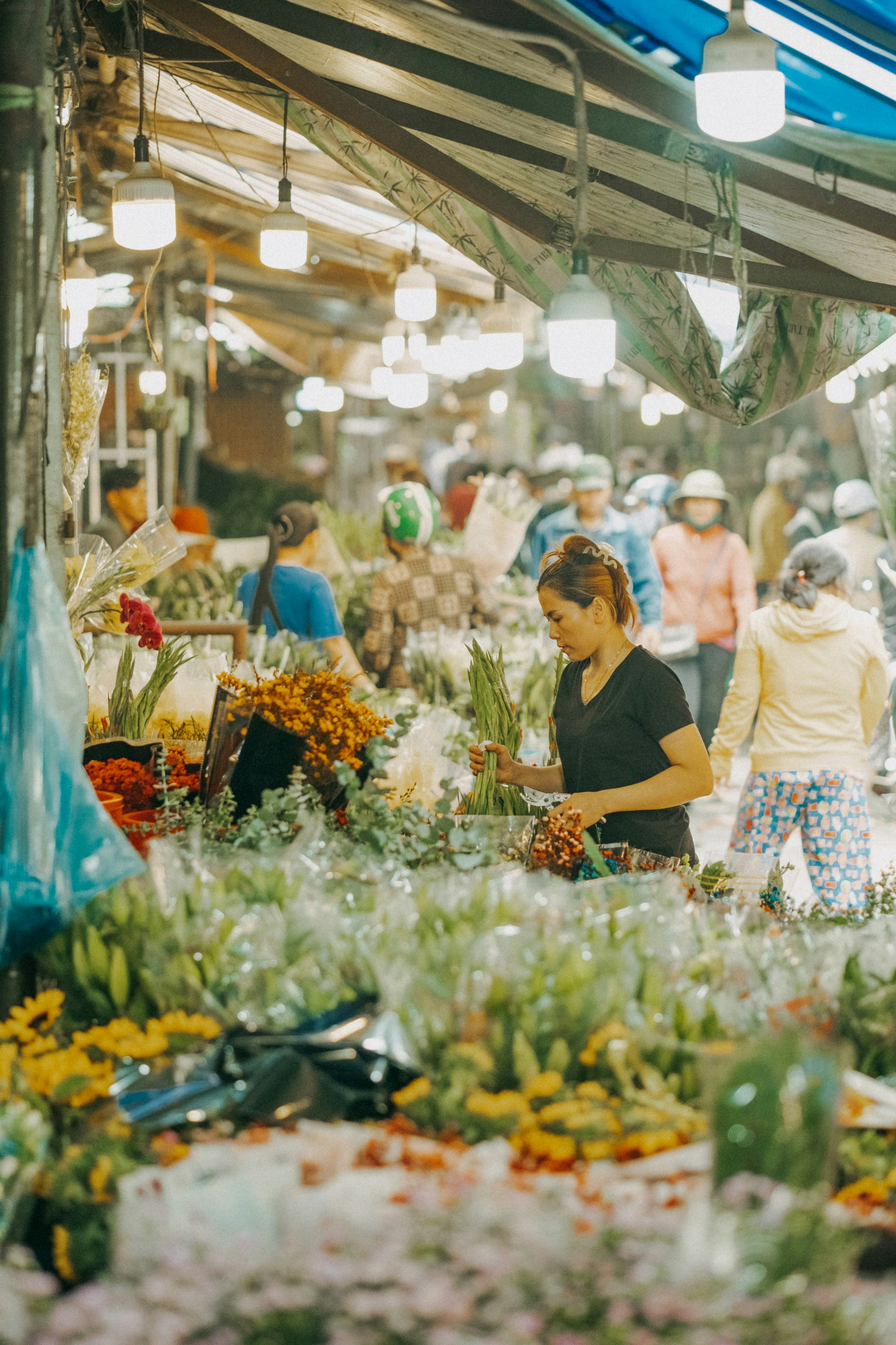 Photo by nguyentrungnguyen
