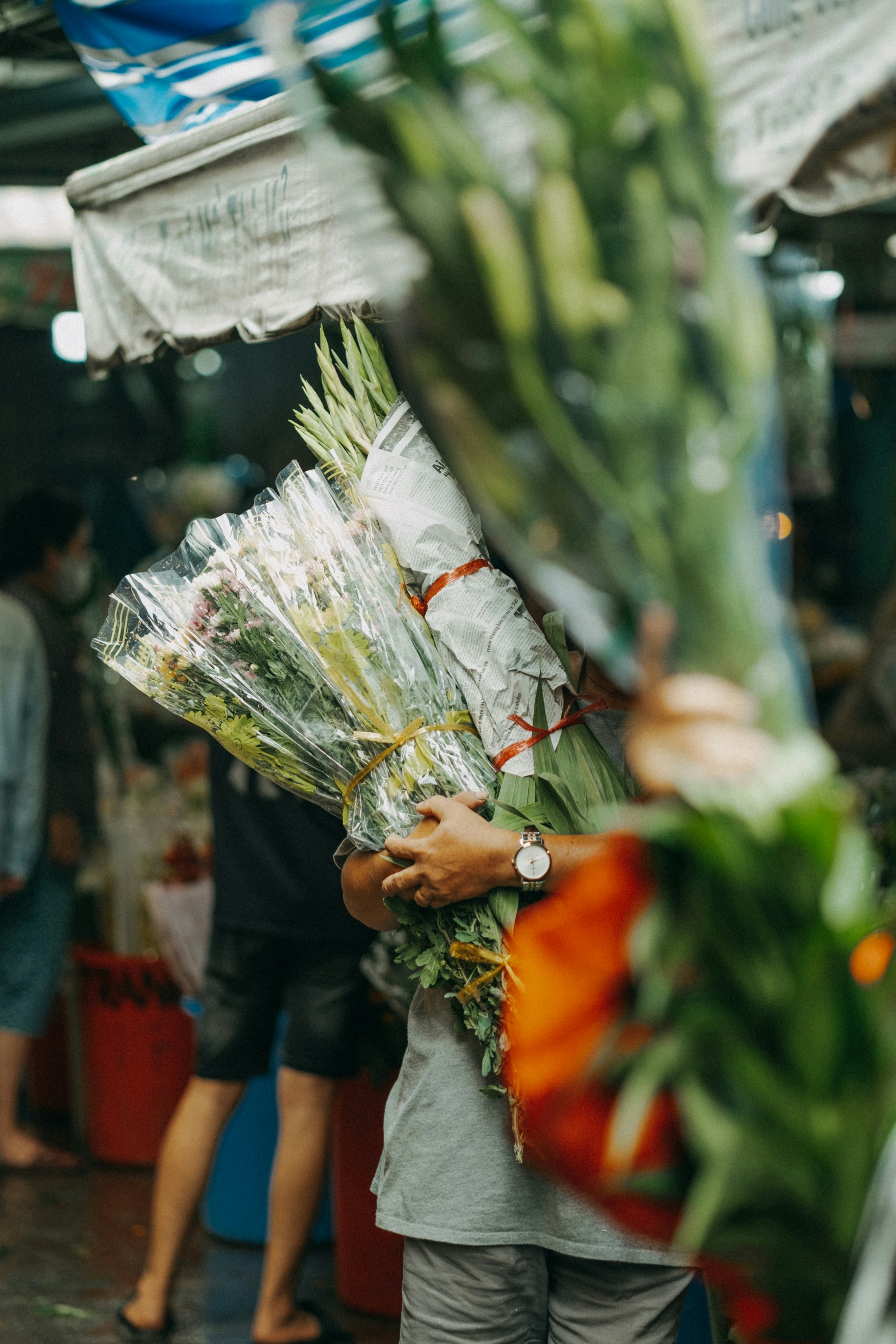 Photo by nguyentrungnguyen