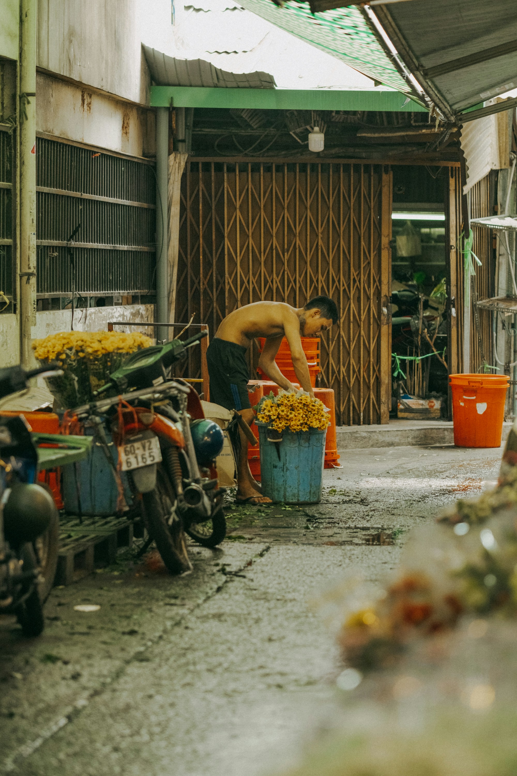 Photo by nguyentrungnguyen