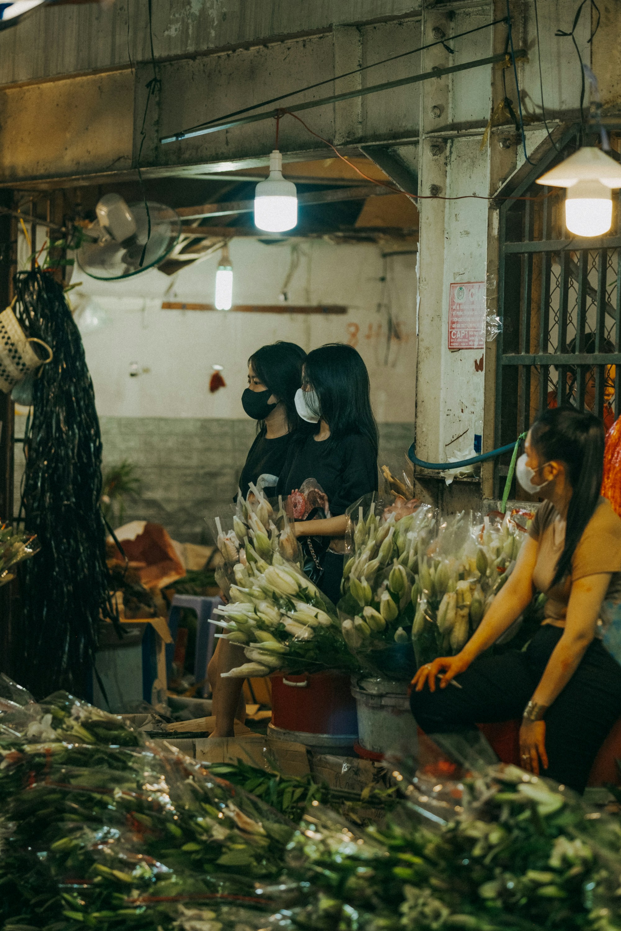 Photo by nguyentrungnguyen