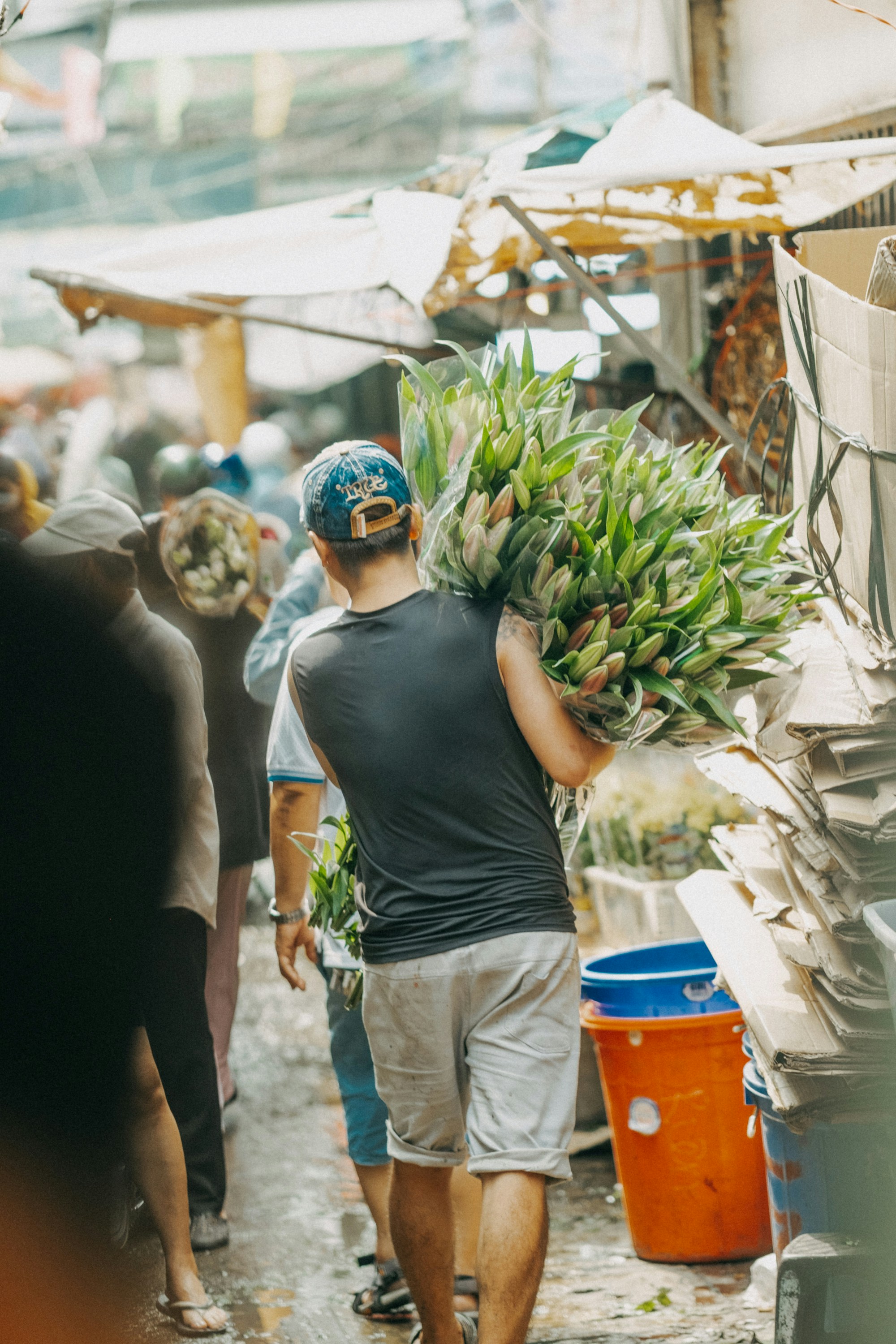 Photo by nguyentrungnguyen