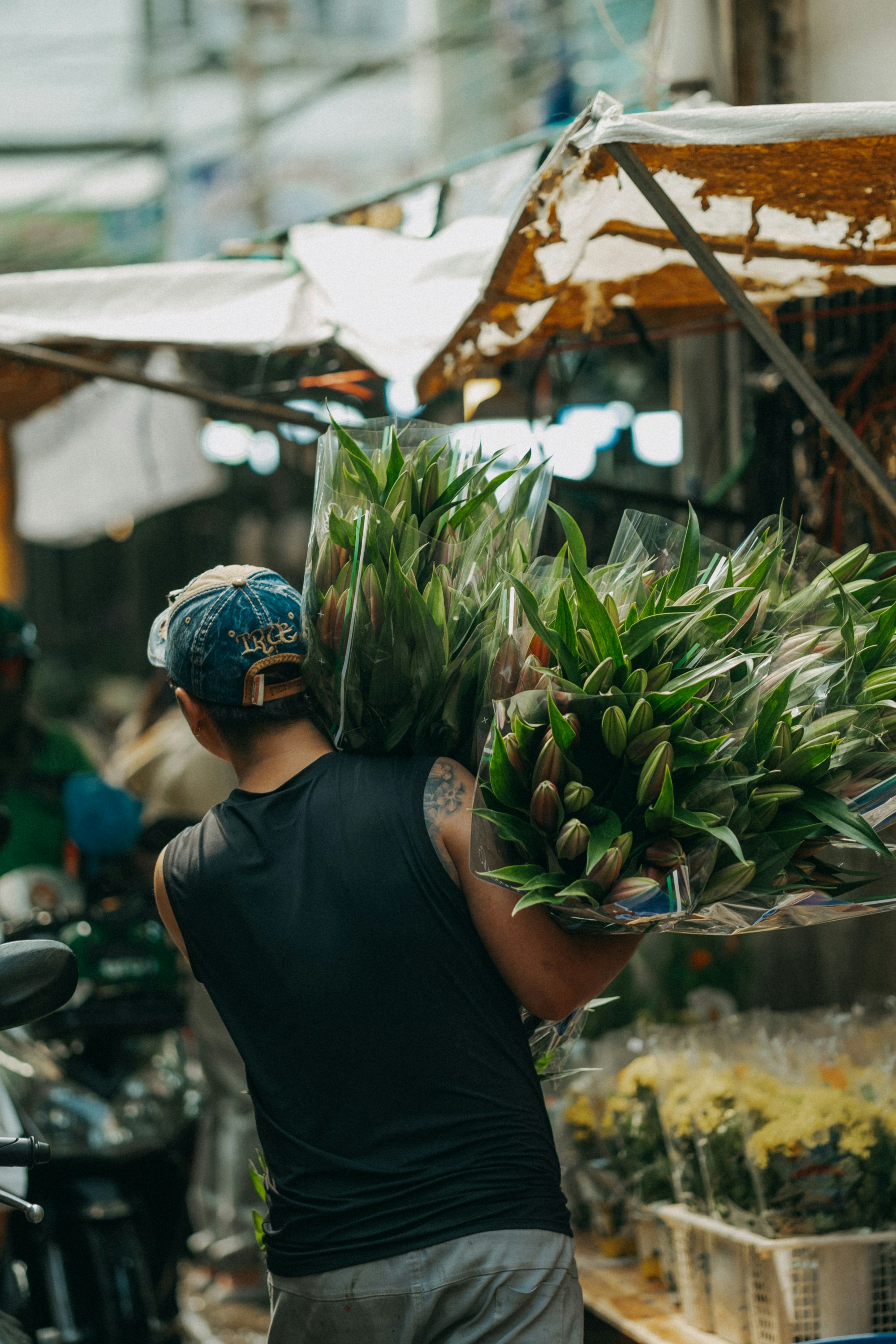 Photo by nguyentrungnguyen