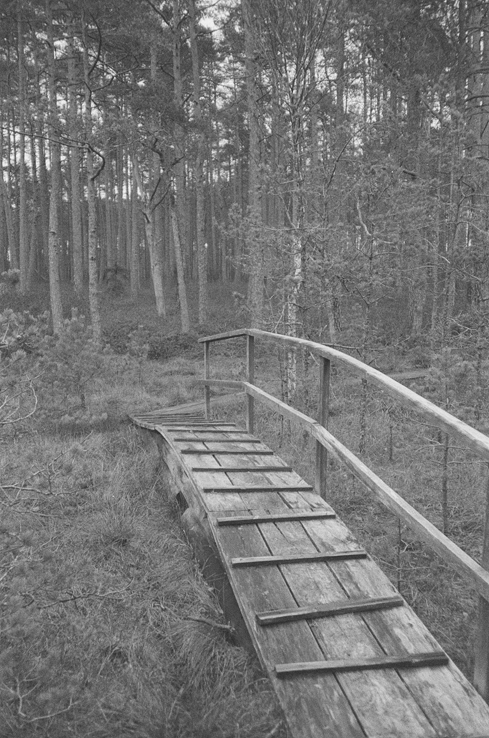 a wooden bridge in the middle of a forest