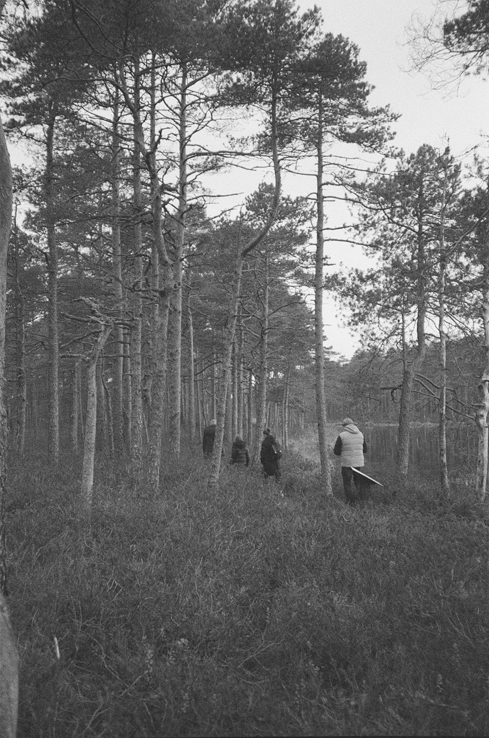 a black and white photo of people in the woods