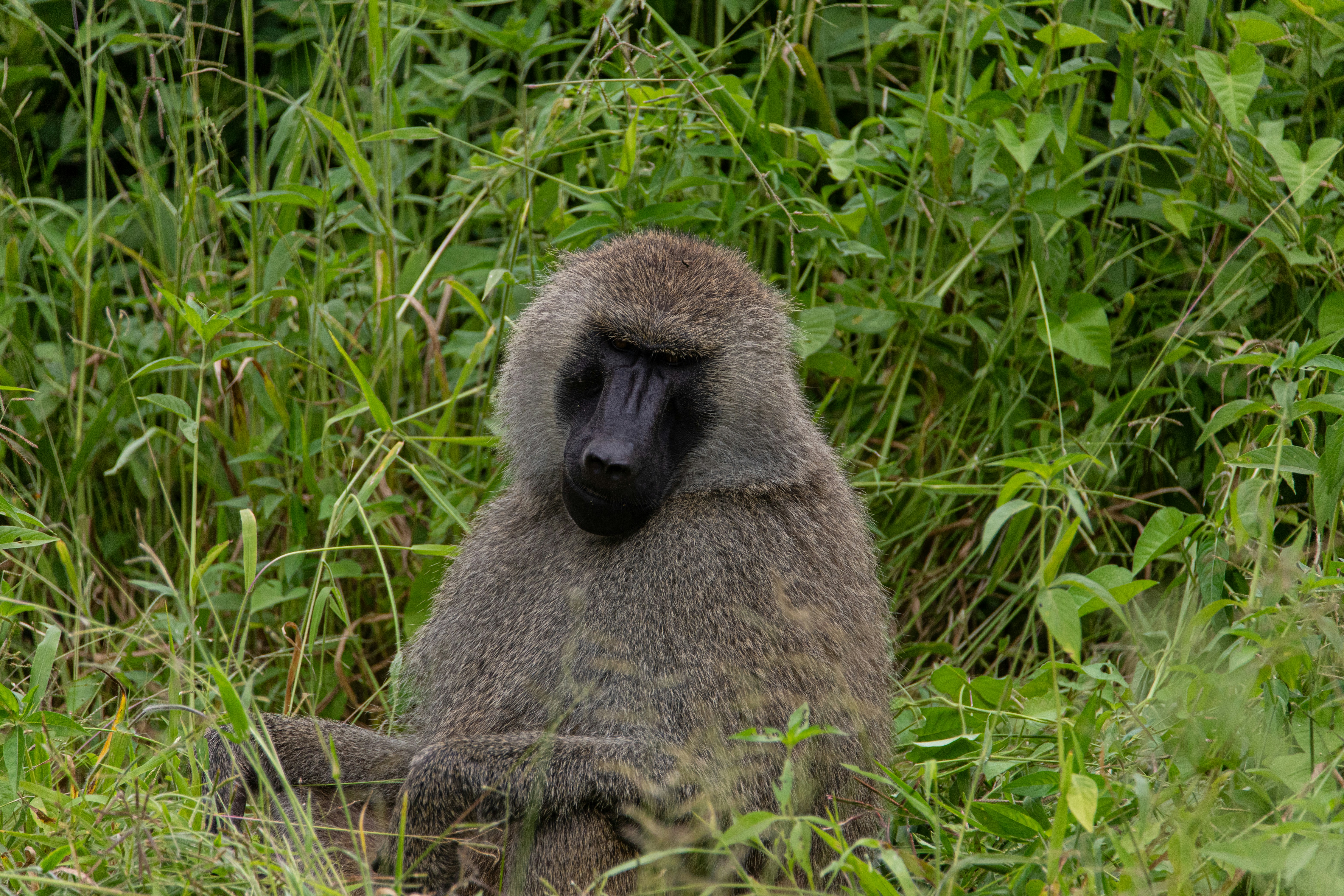 WAT-Africa Tours's image