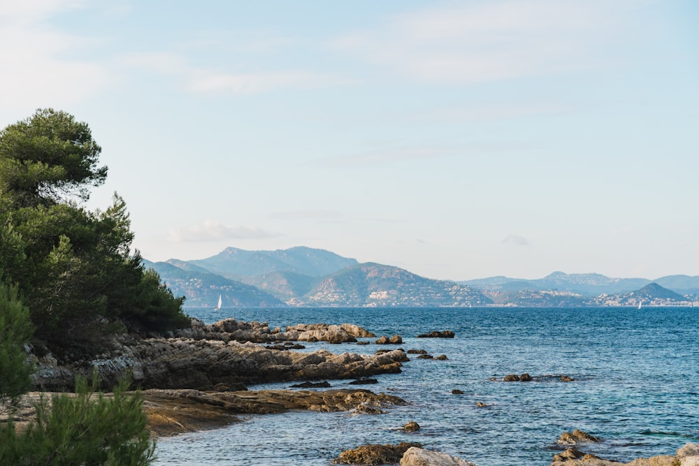 a body of water surrounded by trees and mountains