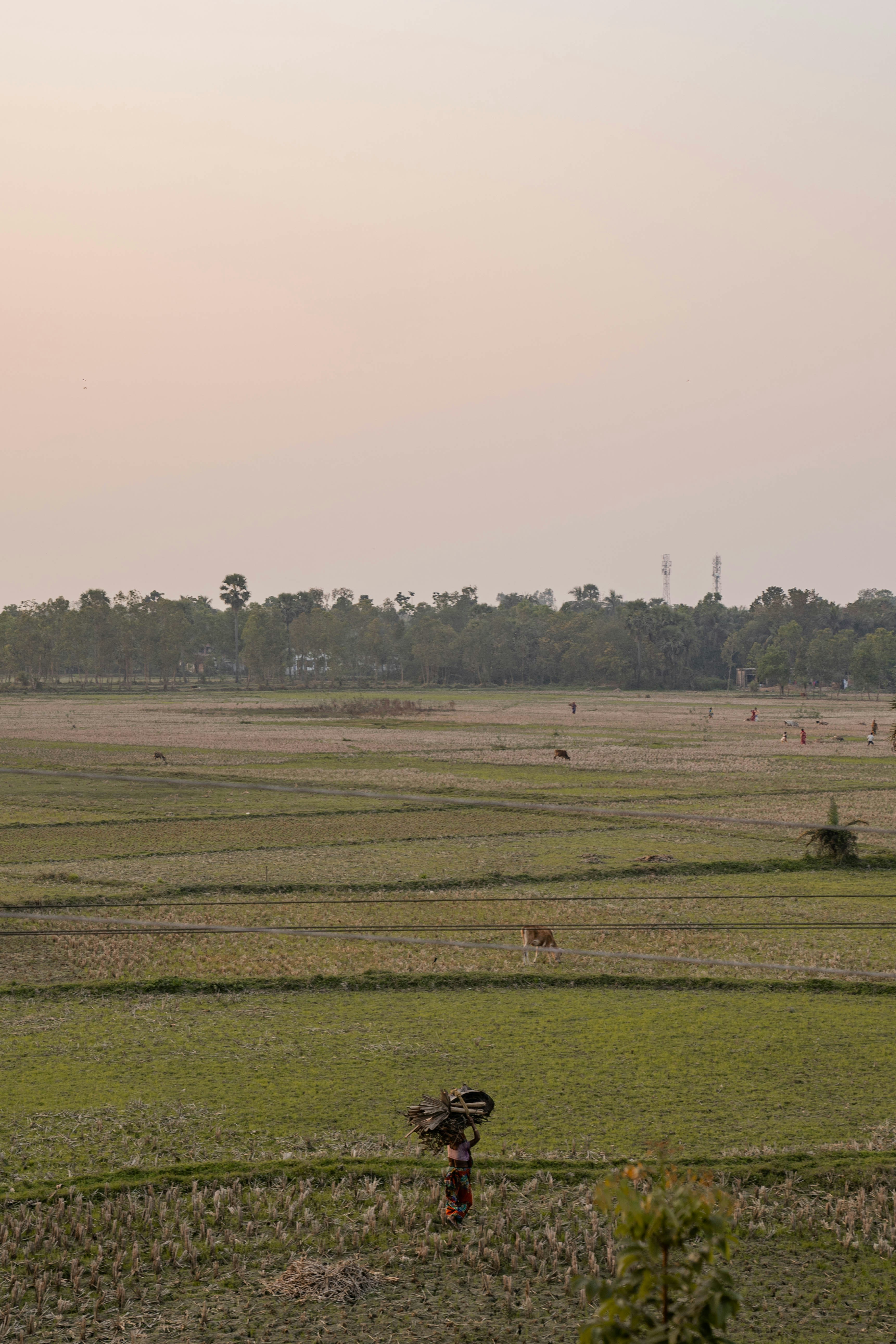 a person walking across a grass covered field
