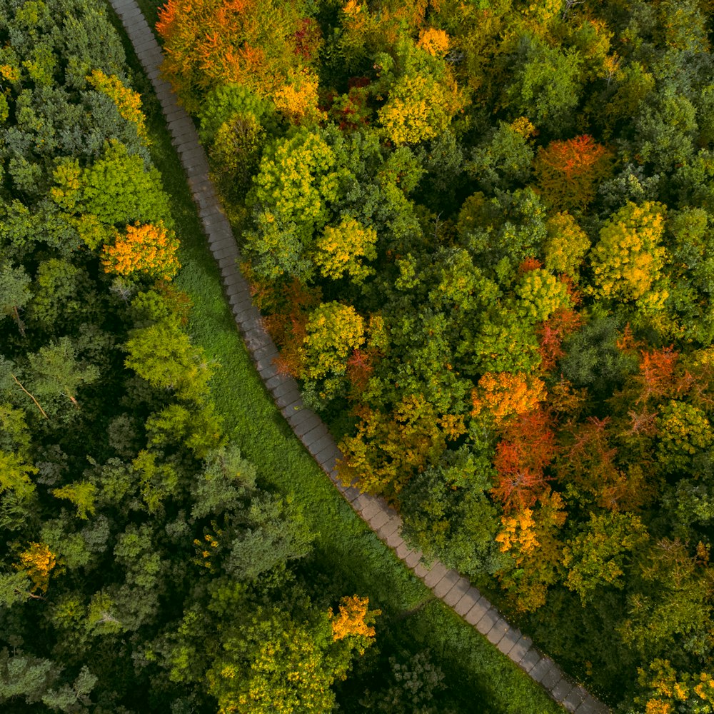 an aerial view of a road surrounded by trees