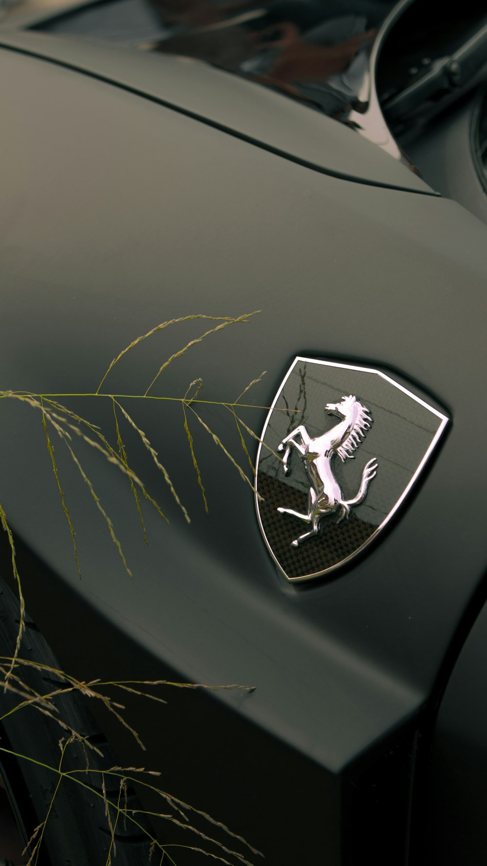 a close up of the emblem on a car