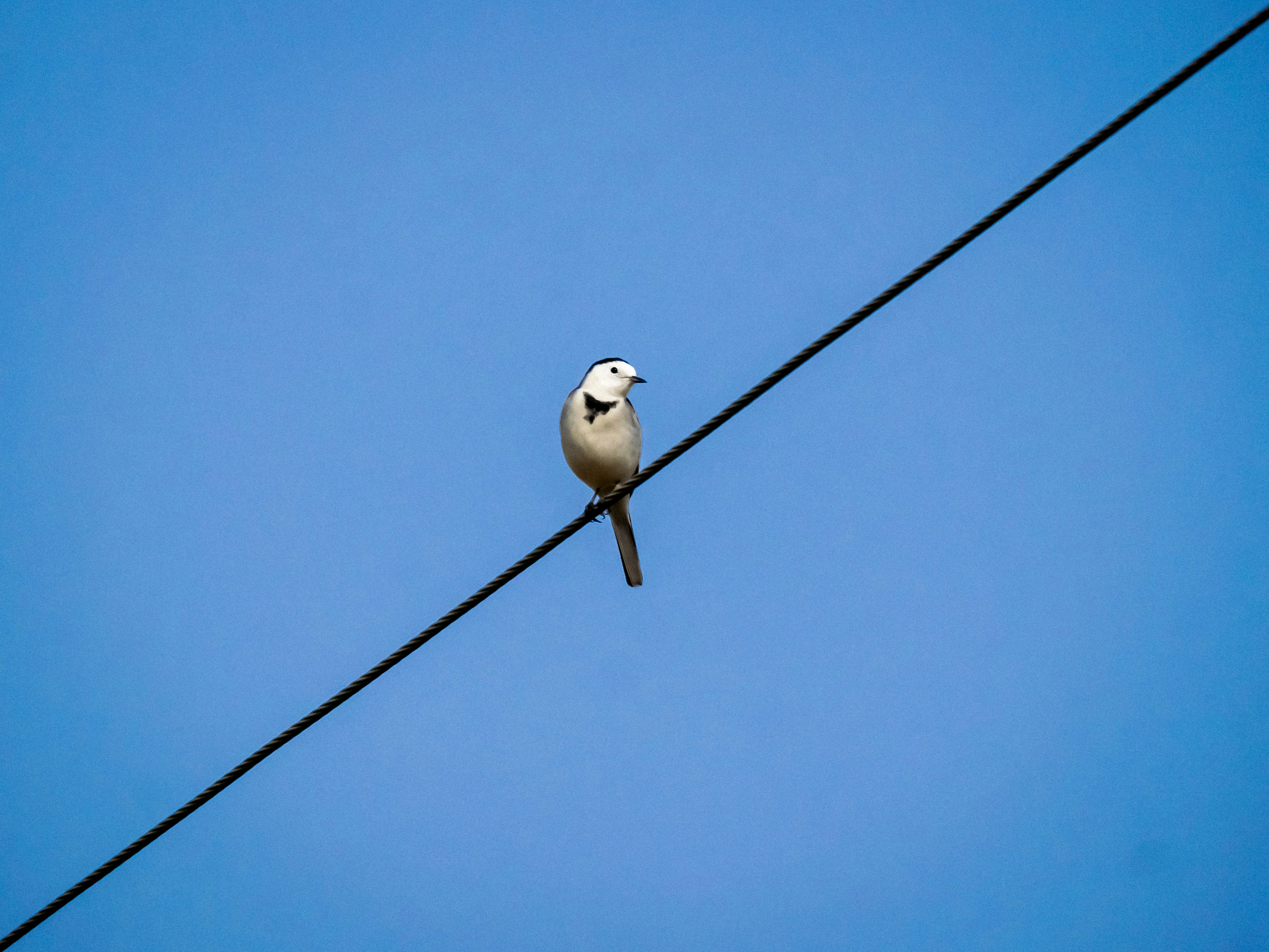 Photo by pixelsnap_visualz