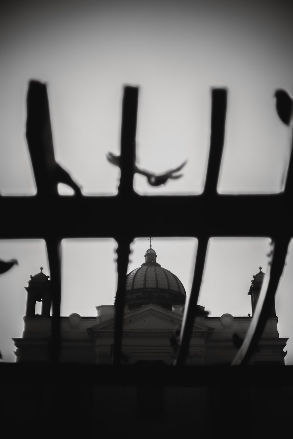 a black and white photo of a building with birds on it