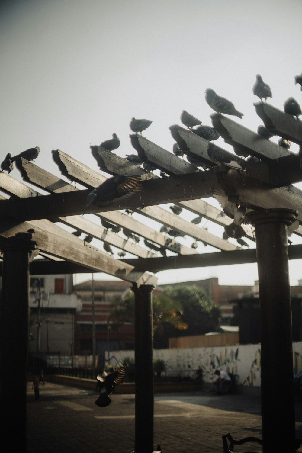 a group of birds sitting on top of a wooden structure