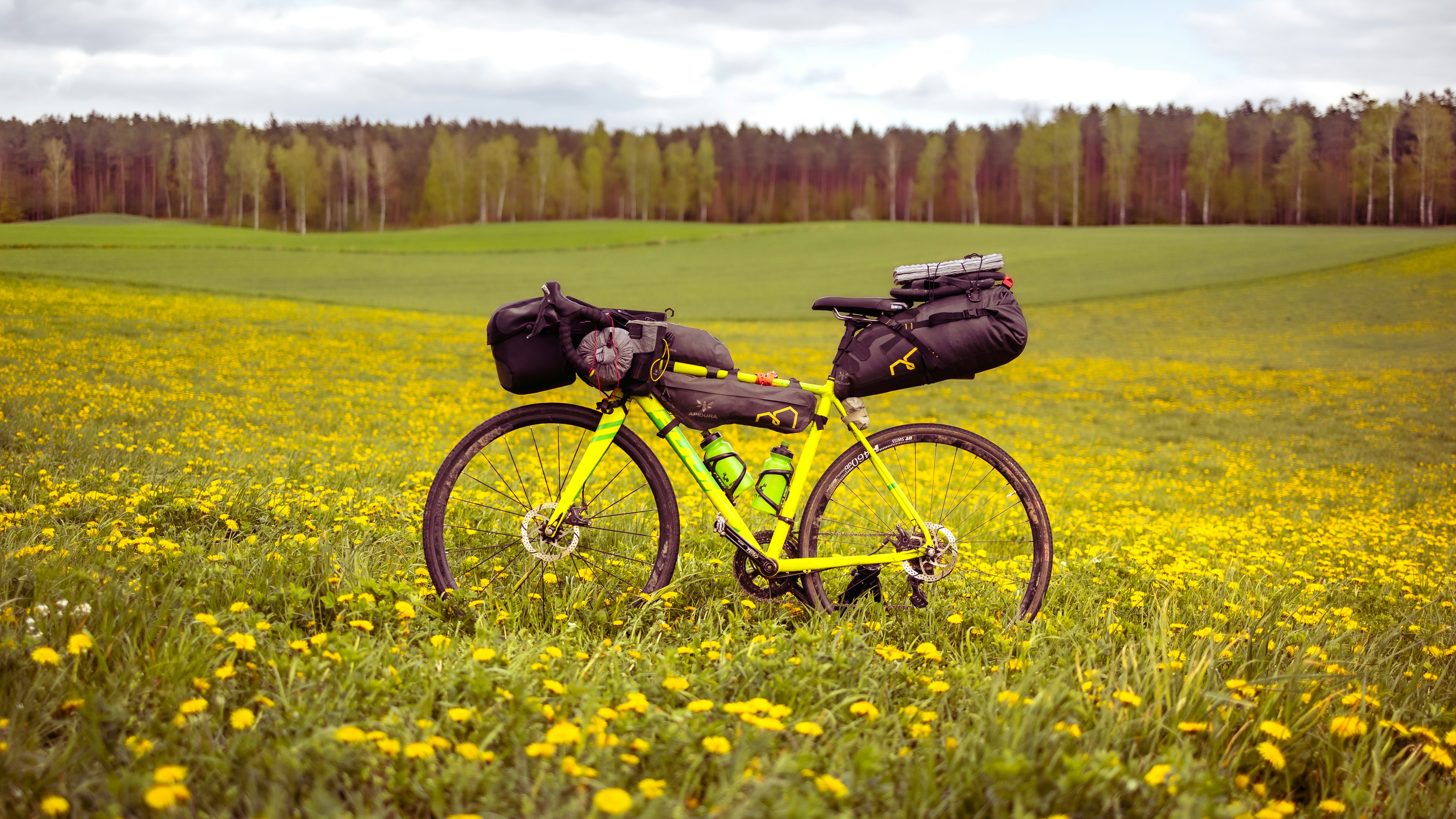a yellow bike parked in a field of yellow flowers