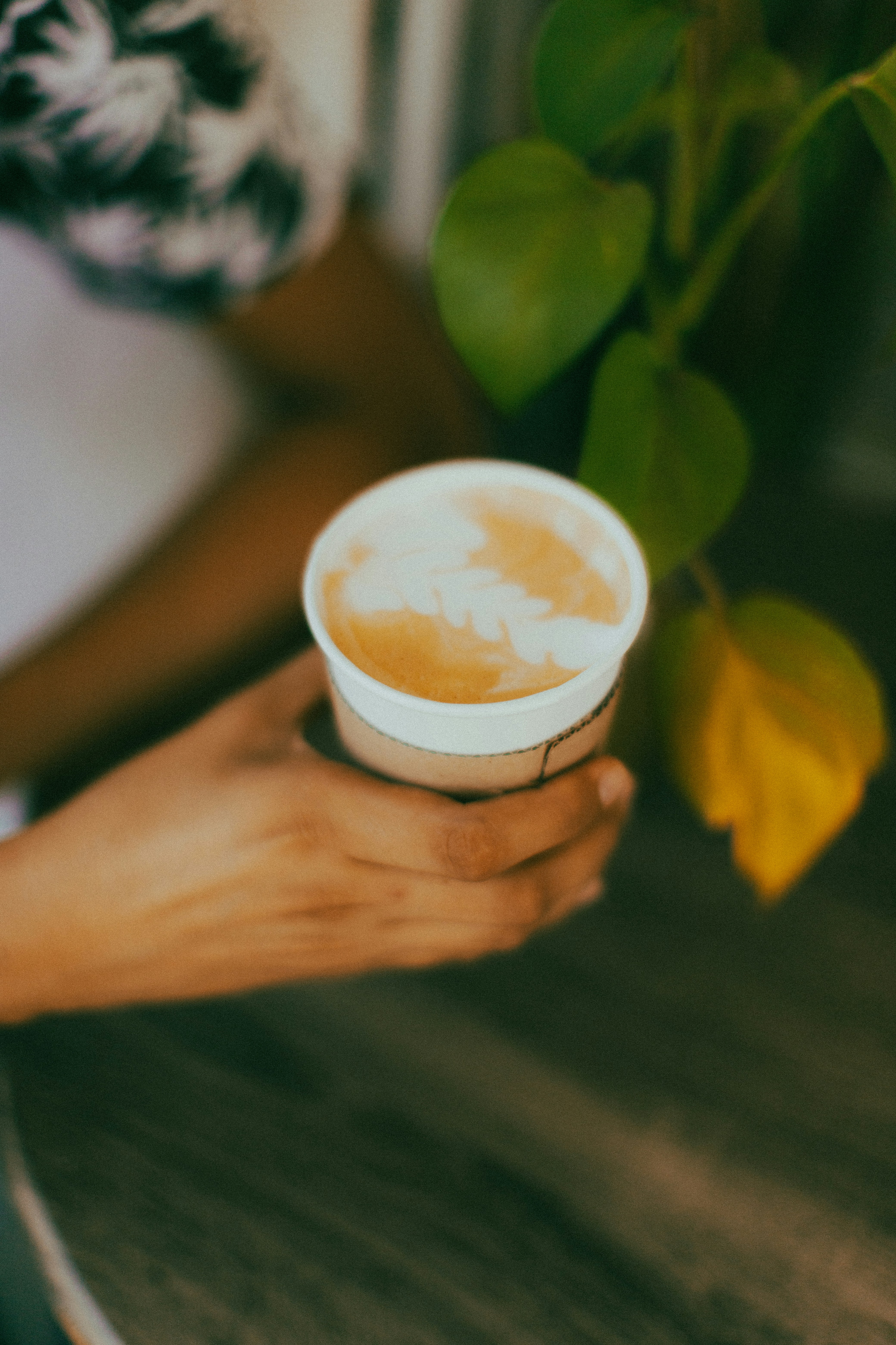 Photo by oscareduardohr