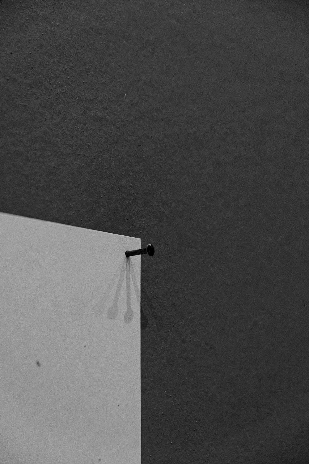 a black and white photo of a door with a dragonfly on it