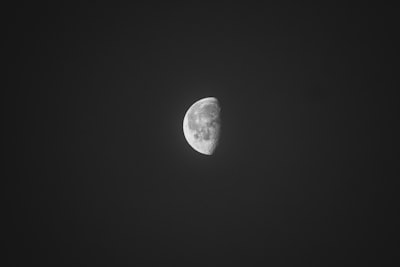 a half moon is seen in the dark sky