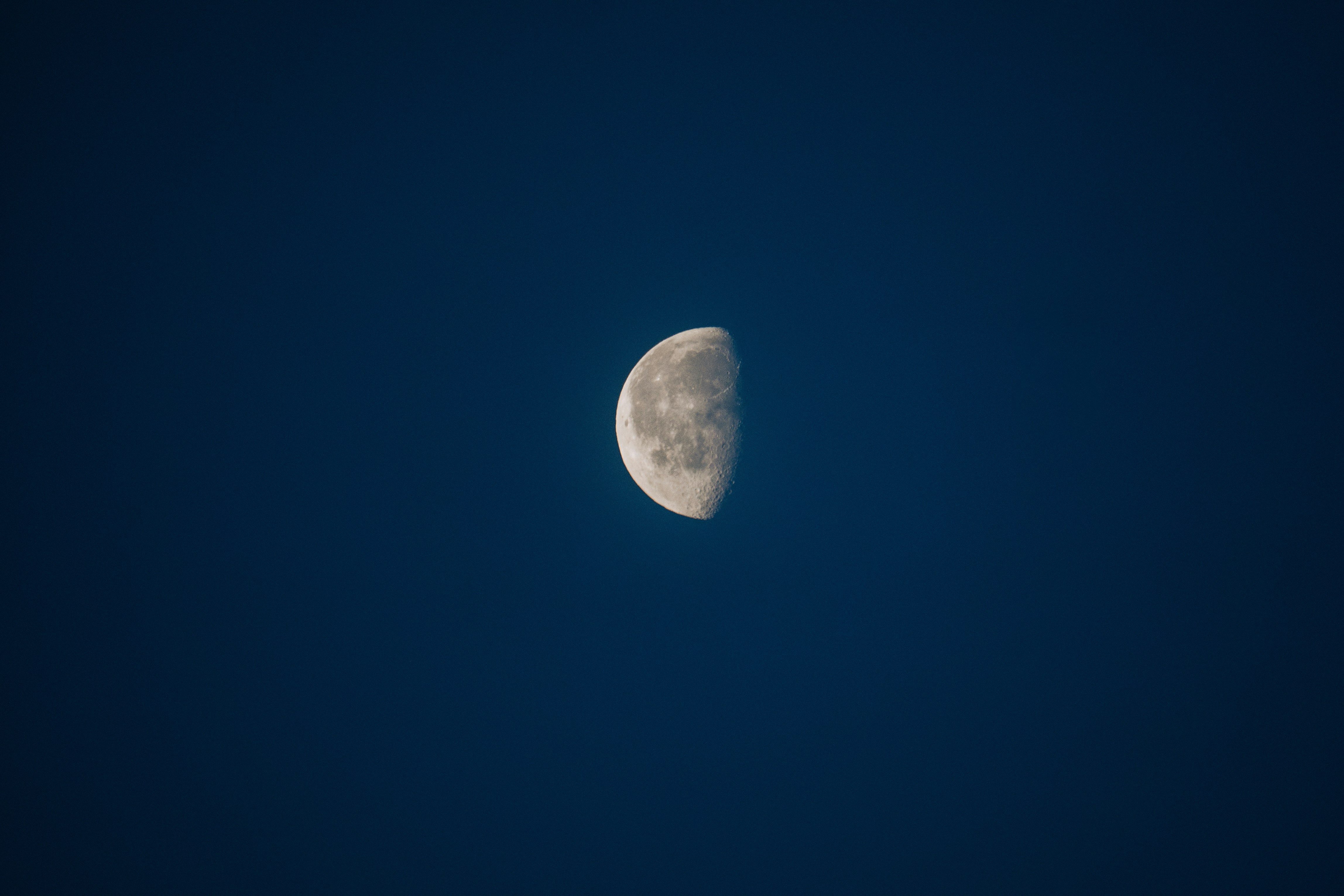 Photo by mattseymour