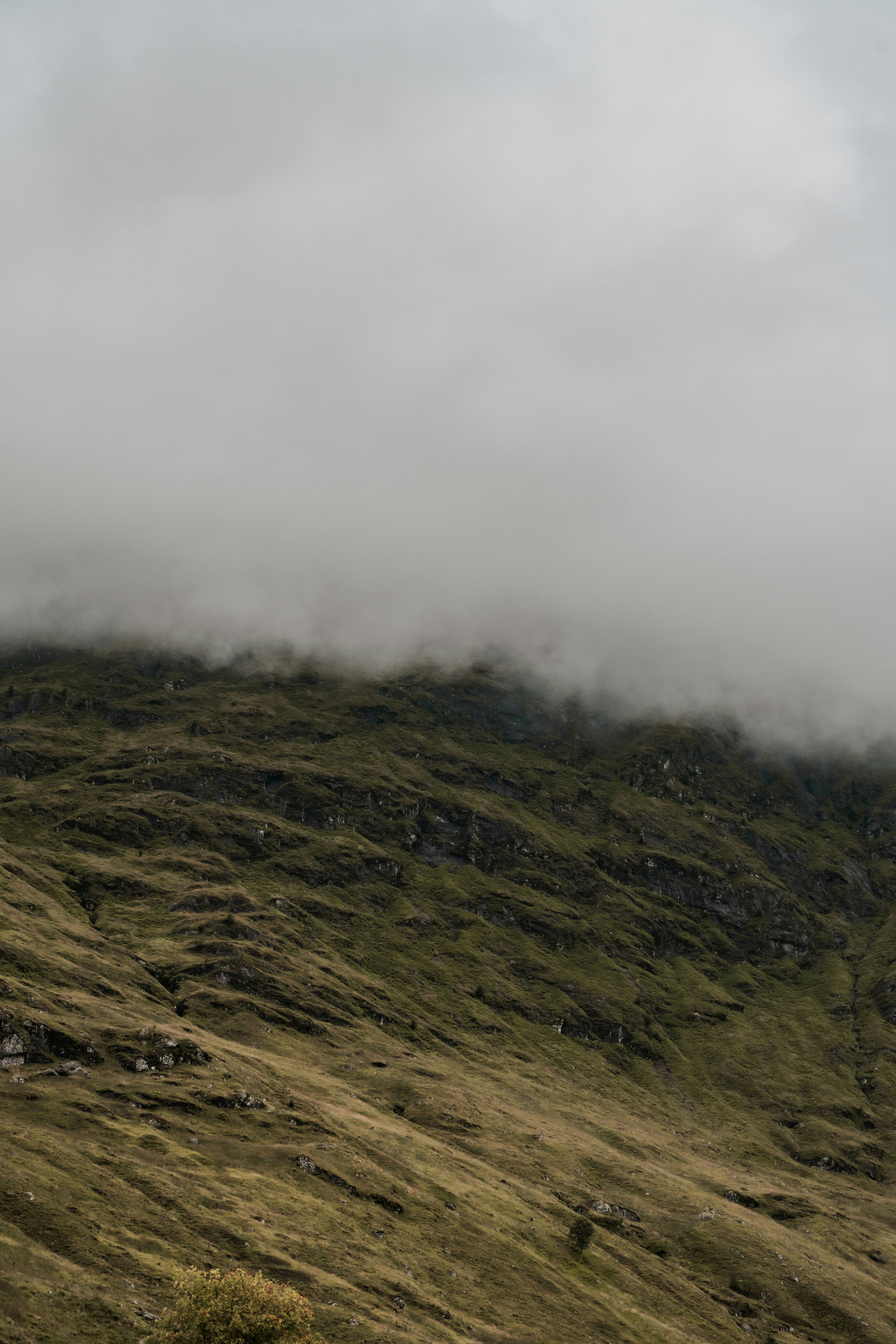 Photo by winstontjia