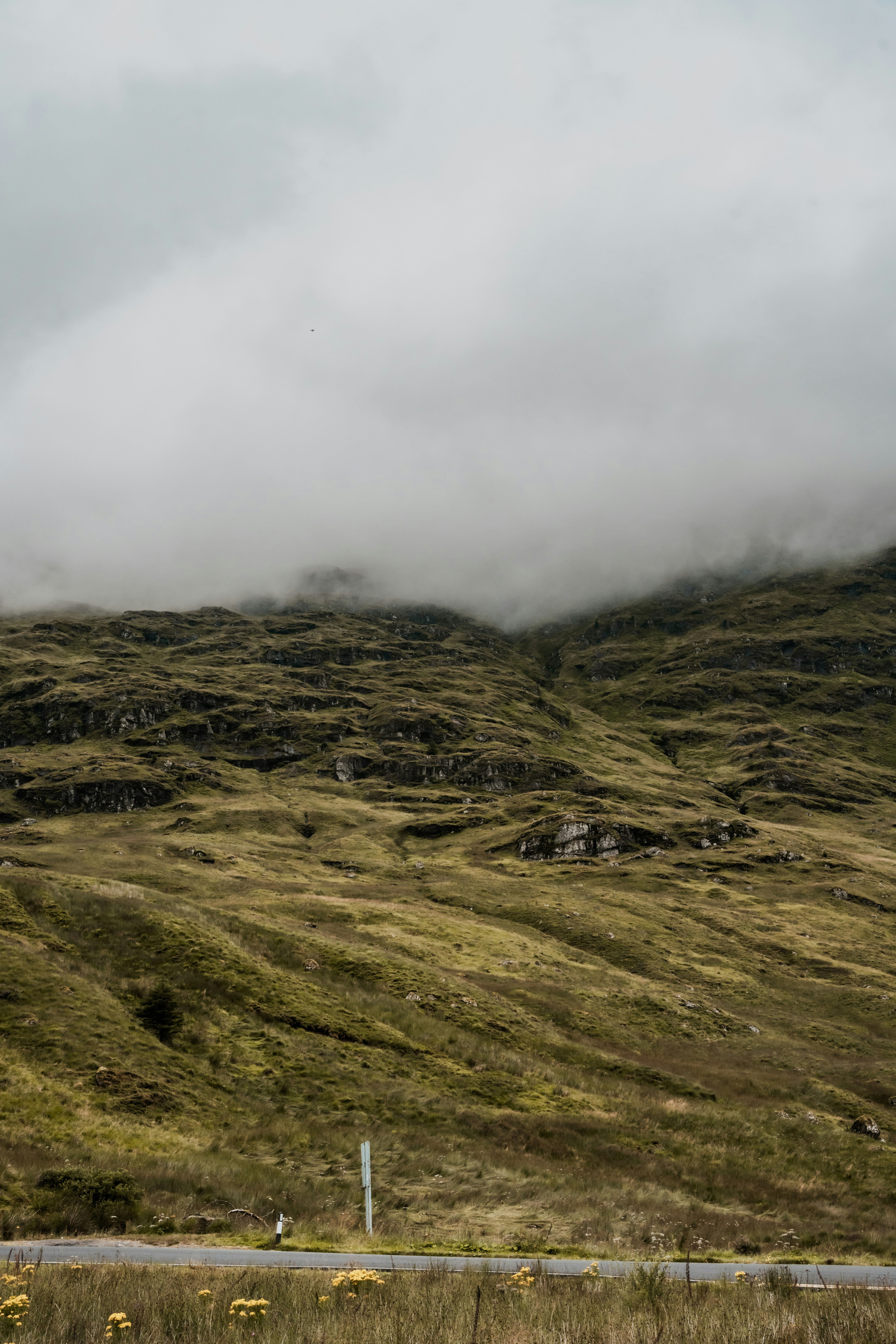 Photo by winstontjia