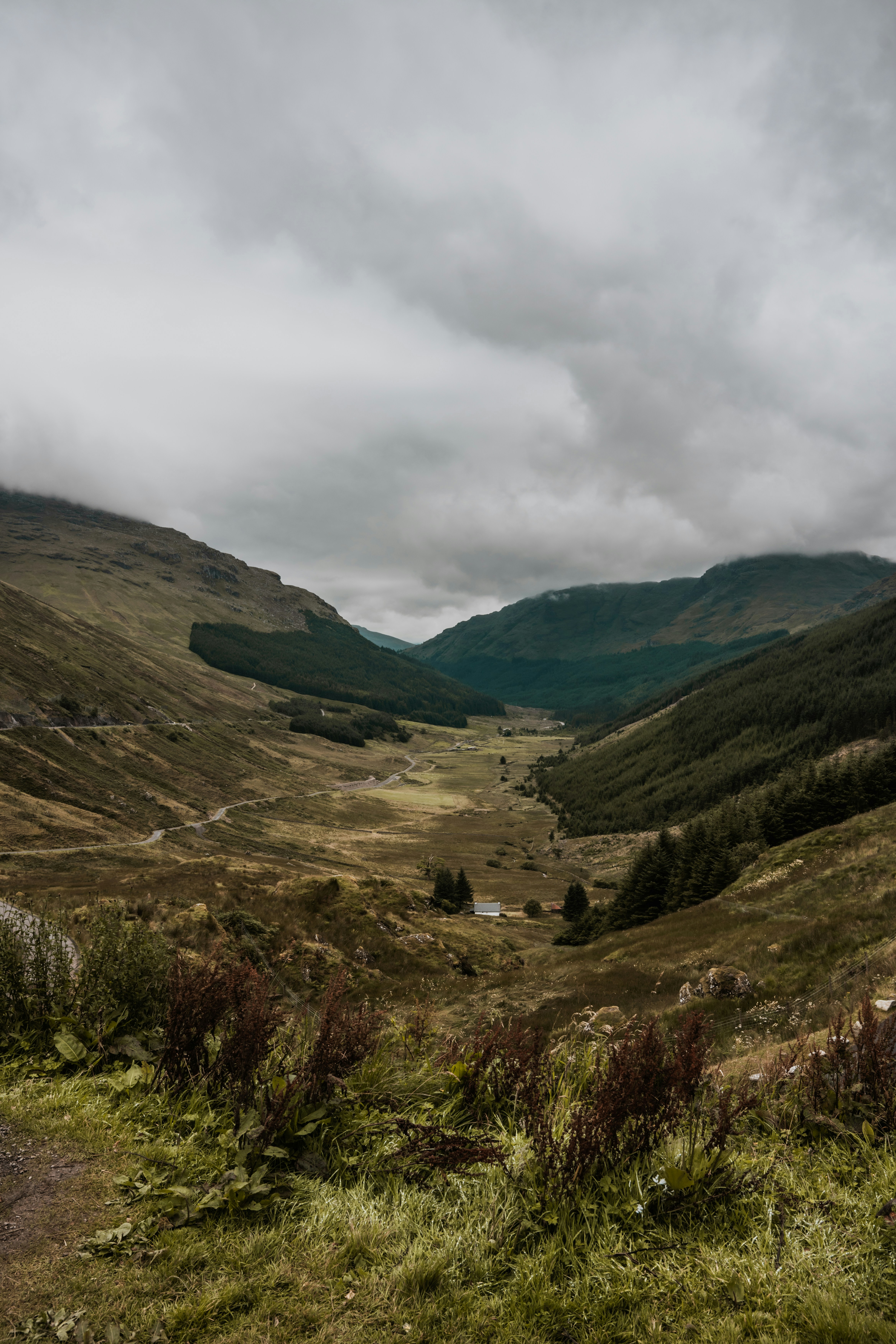 Photo by winstontjia