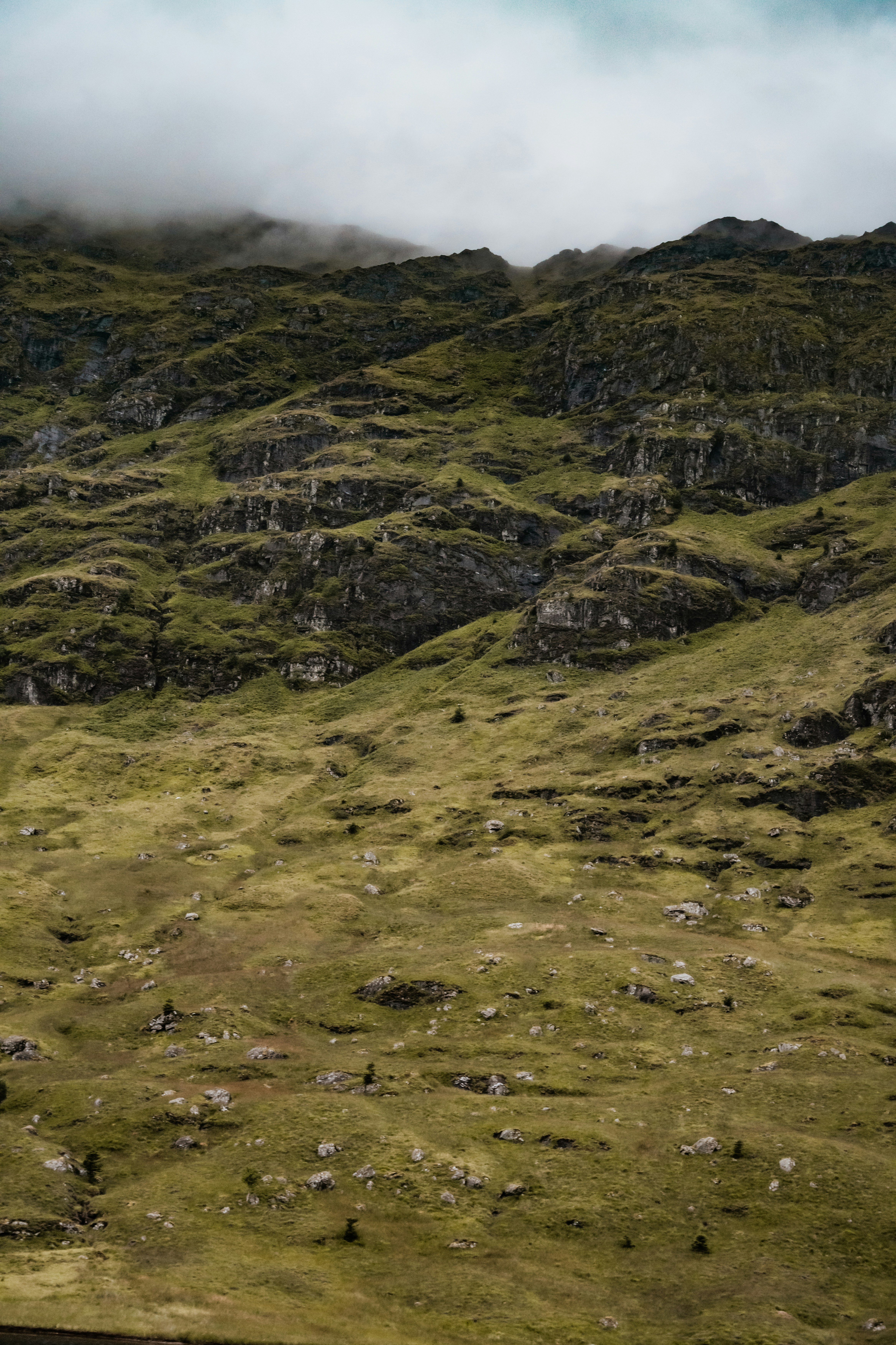 Photo by winstontjia