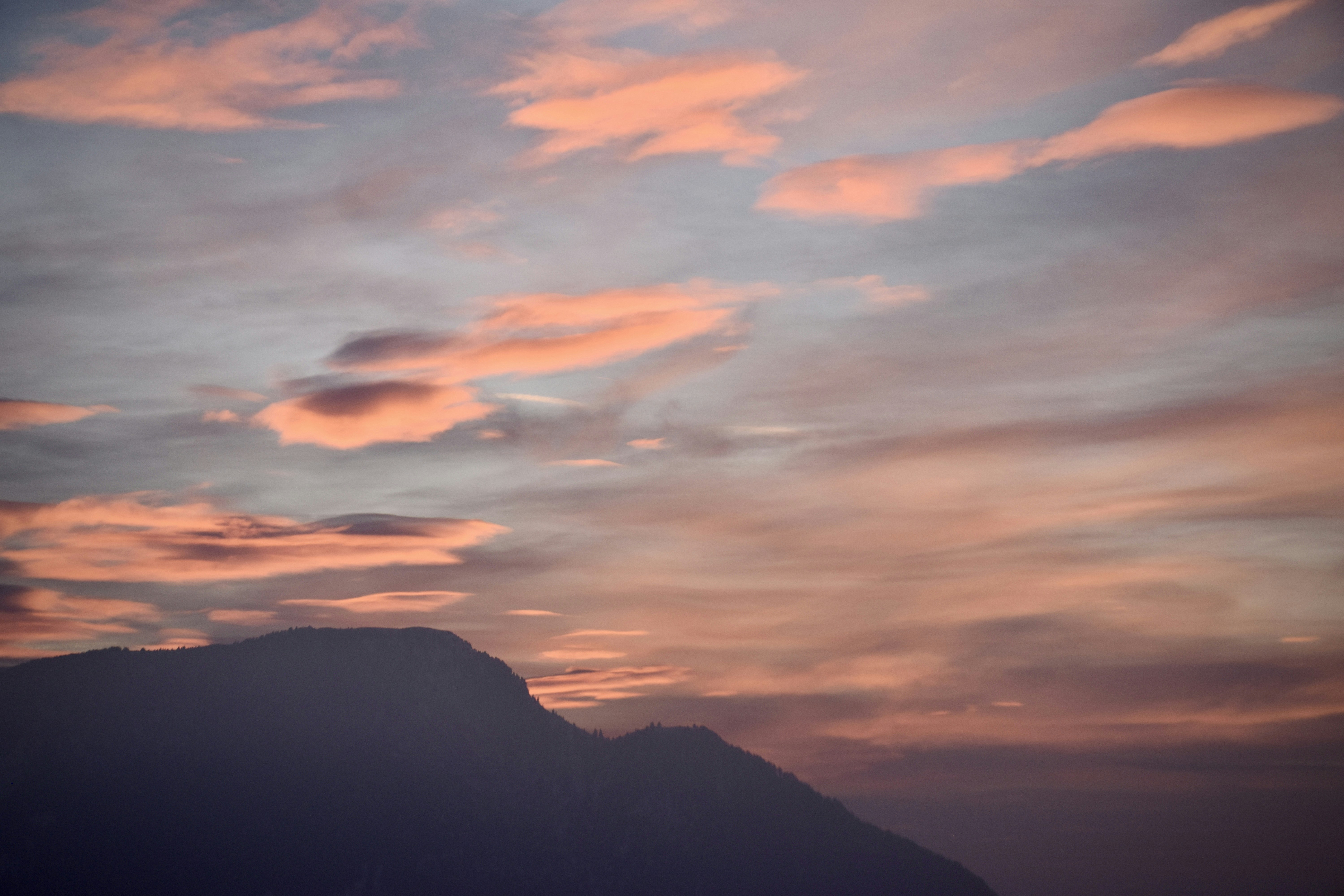 Photo by arnosenoner