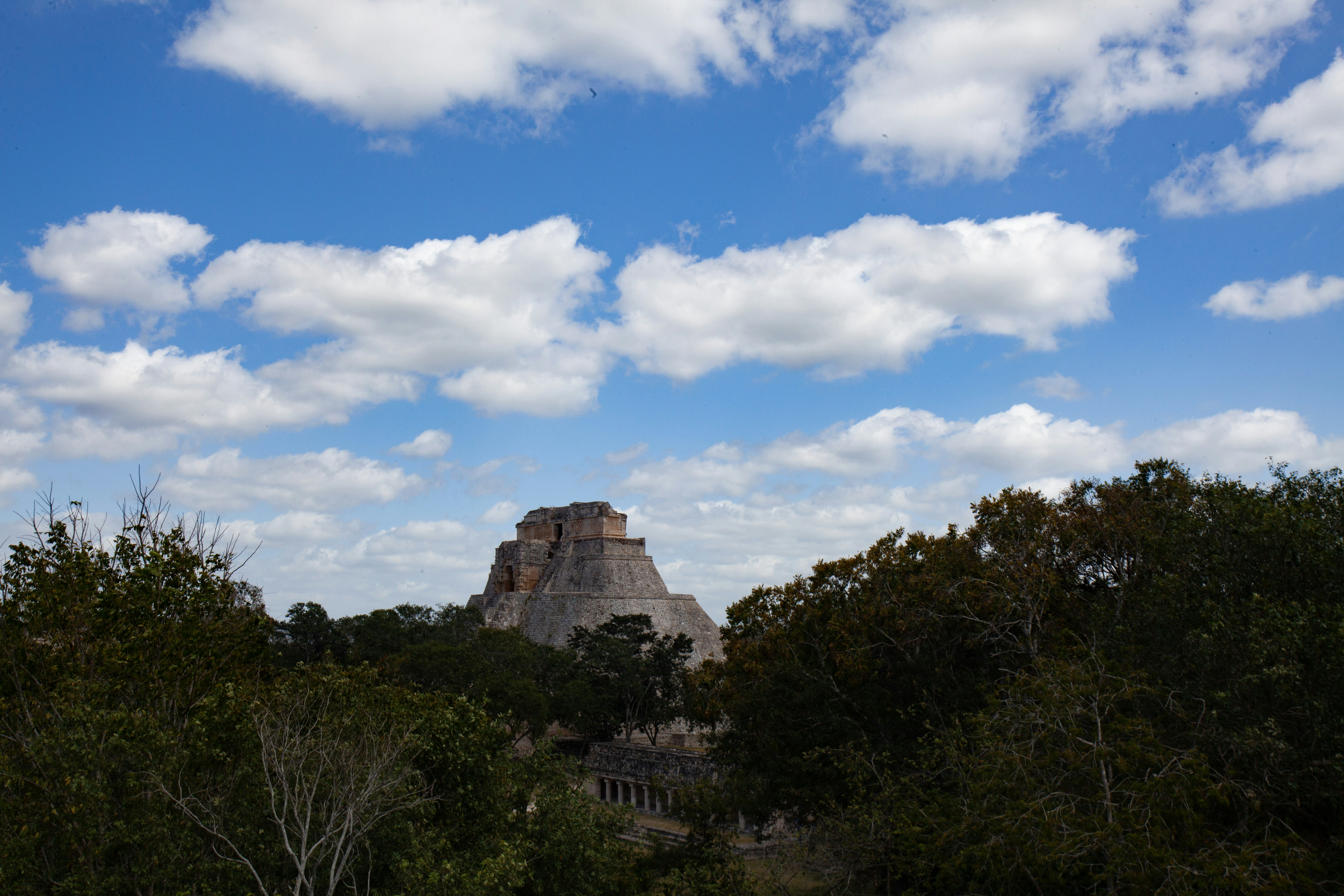 Mayan pyramid in the jungle