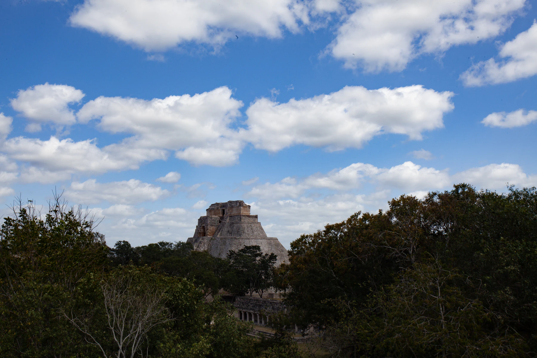 La Pirámide del Adivino elevándose sobre la selva en Uxmal