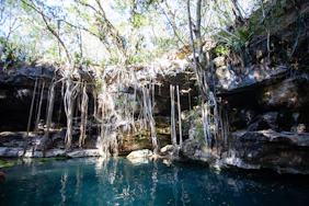 a body of water surrounded by trees and rocks
