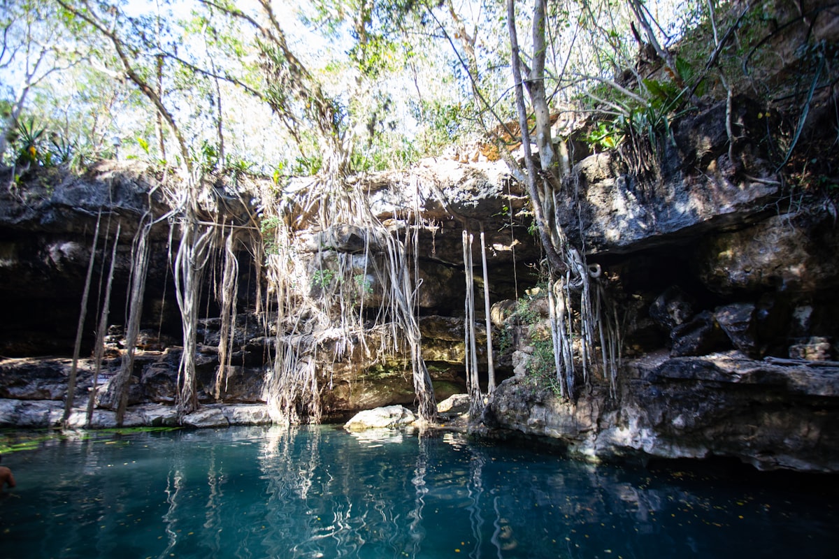 Sac Be Tulum — a jungle cenote with emerald-green water surrounded by dense tropical trees and limestone rocks near the neighbourhood