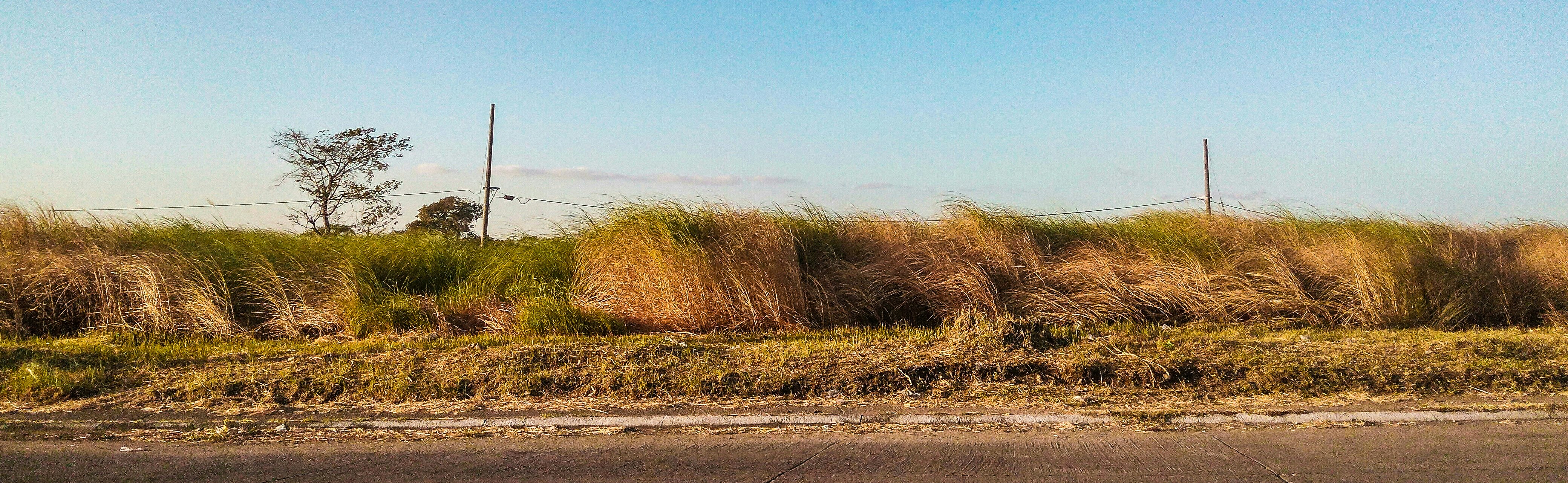 Photo by msophiaphotos