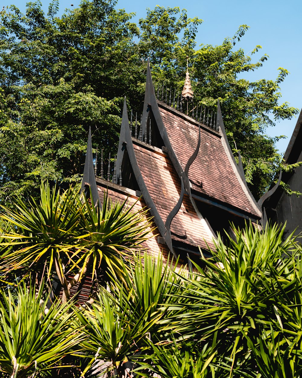 a building with a roof made of wood surrounded by trees