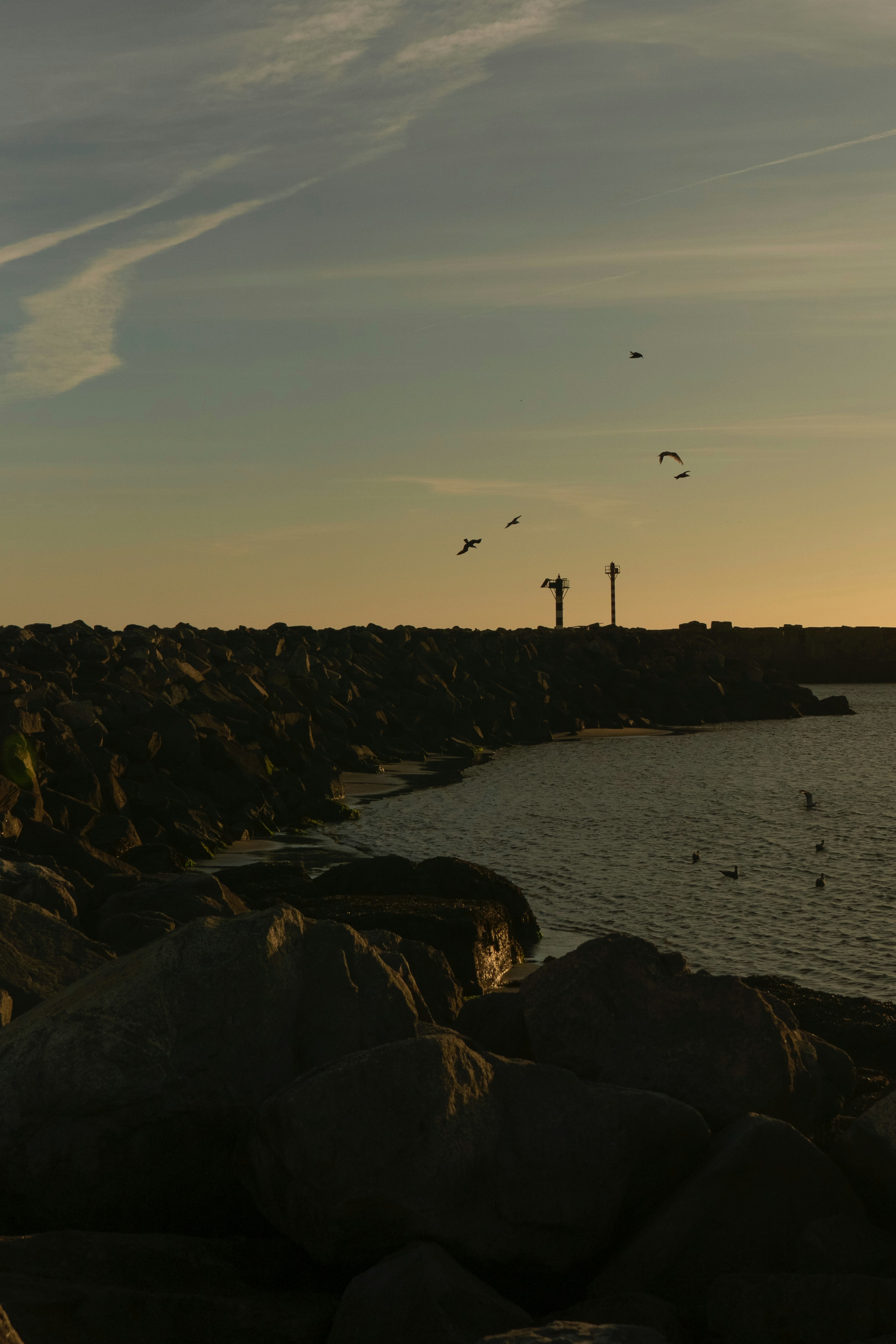 a group of birds flying over a body of water