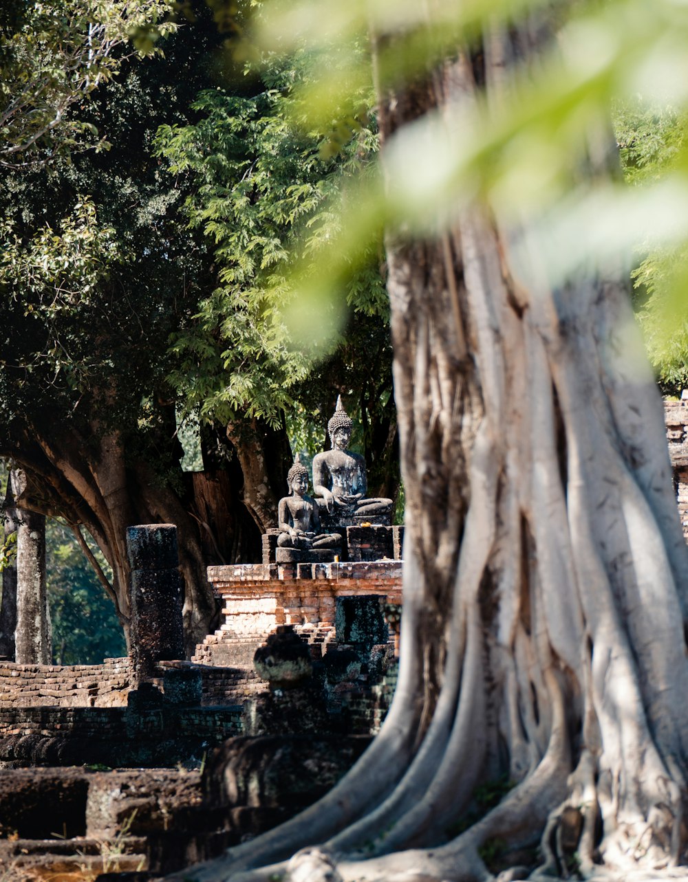 a large tree with a statue in the middle of it