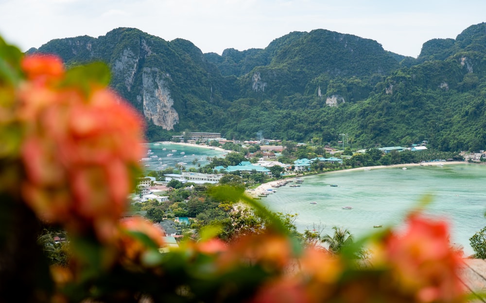 a view of a beach and mountains from a hill