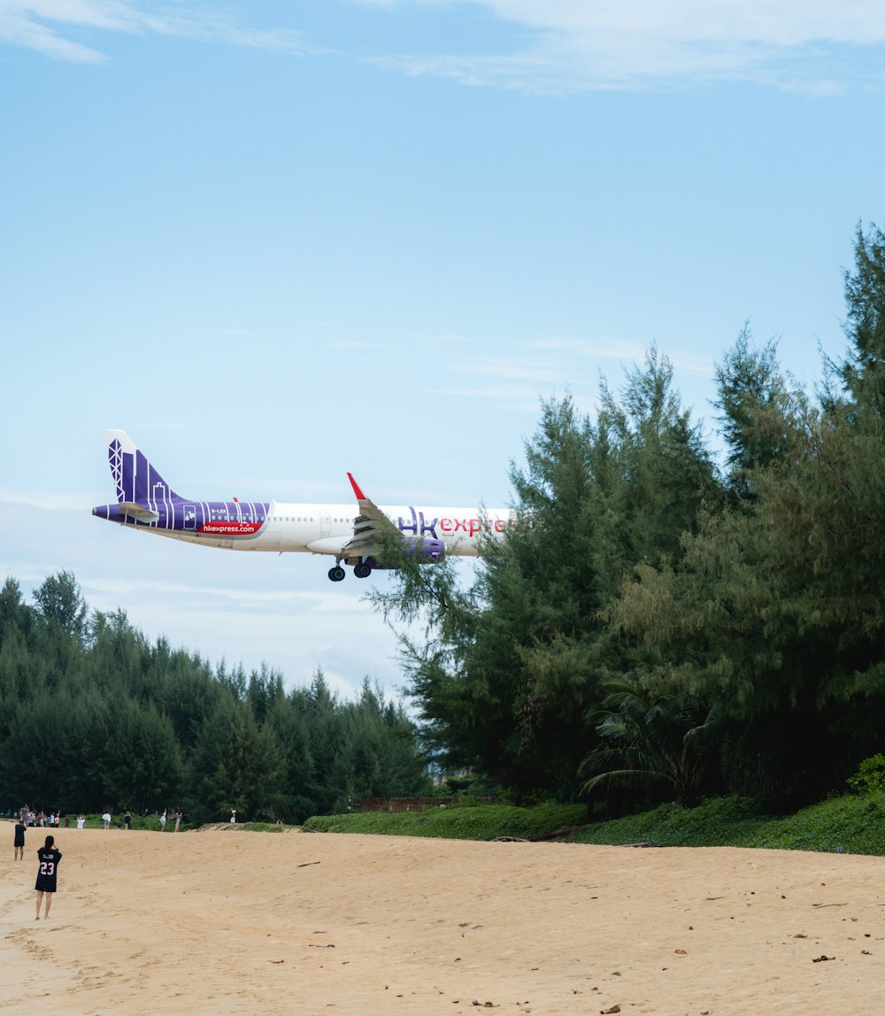 飛行機がビーチの上空を低空飛行している