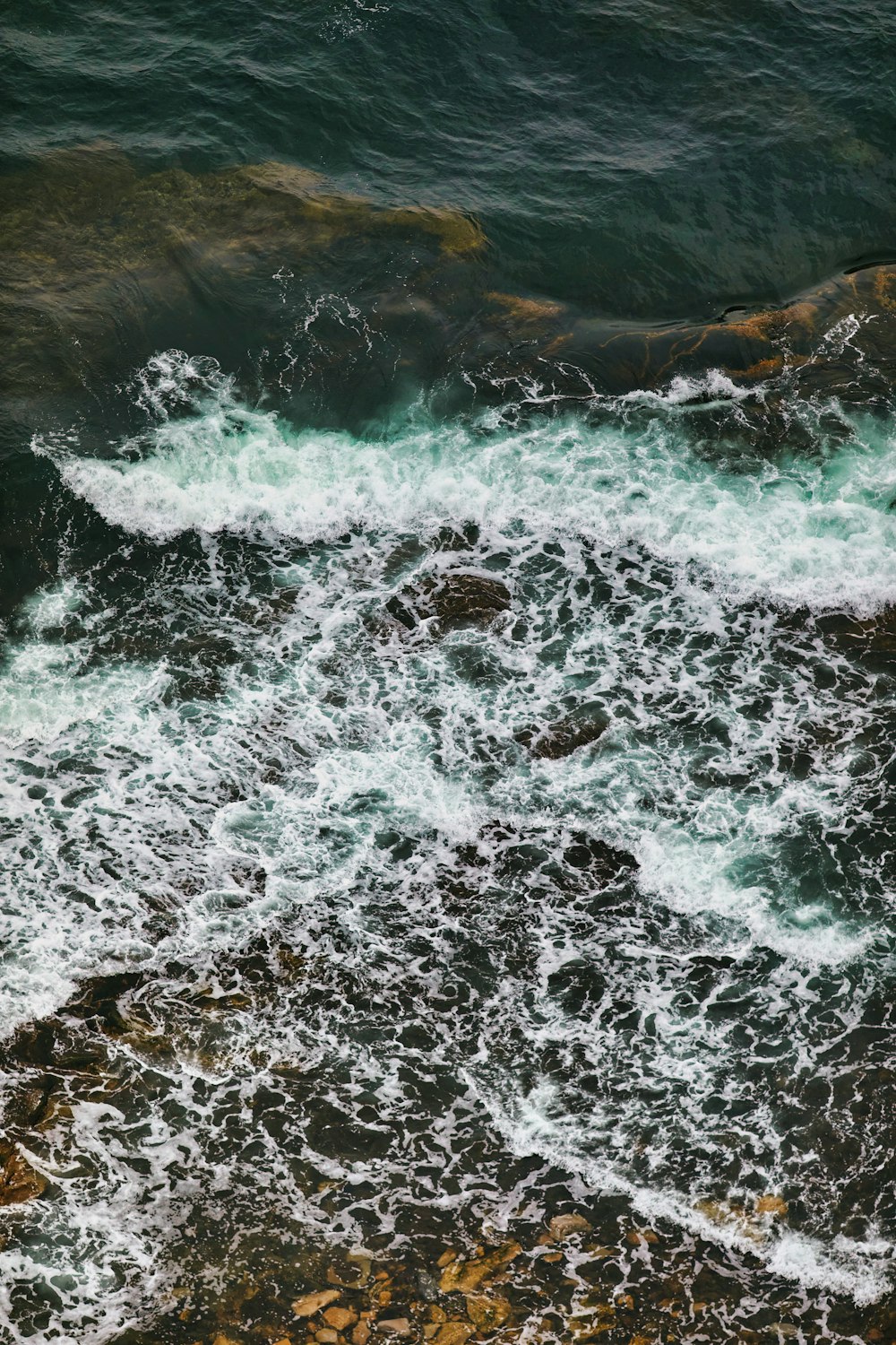 a bird sitting on top of a rock next to the ocean