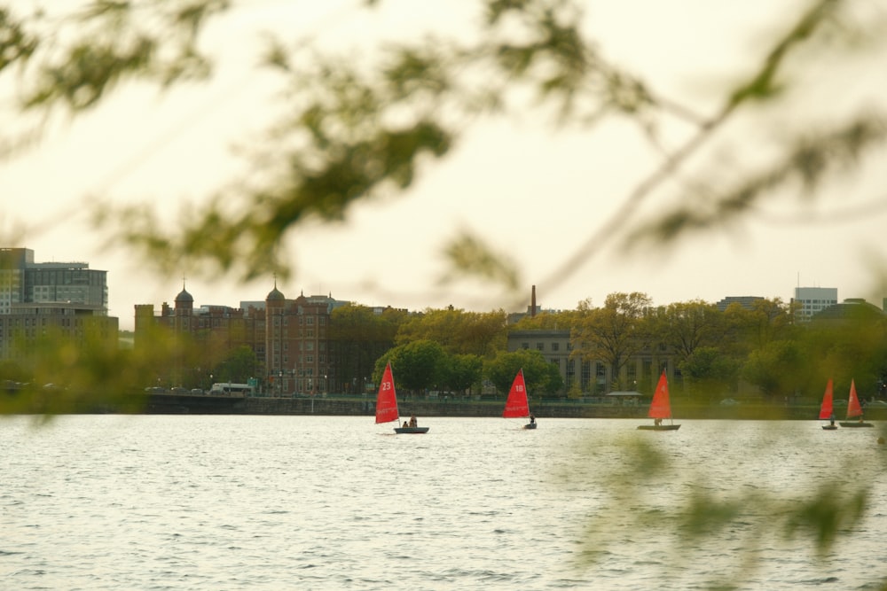 a group of sailboats on a lake with a city in the background