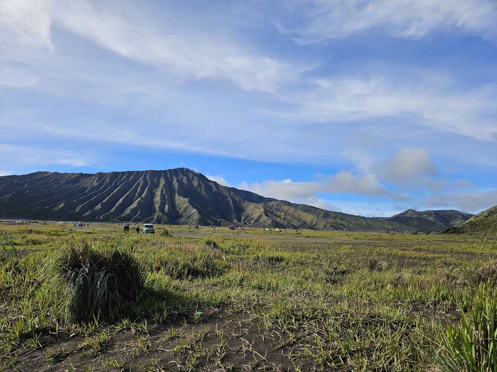 a grassy field with mountains in the background