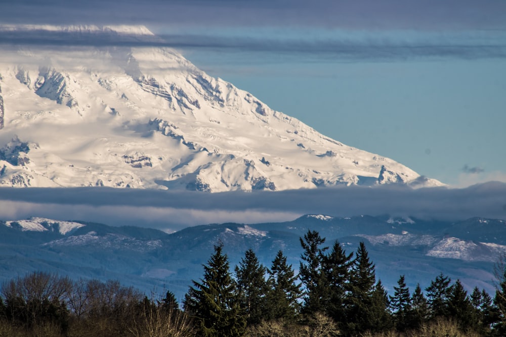 a large snow covered mountain towering over a forest