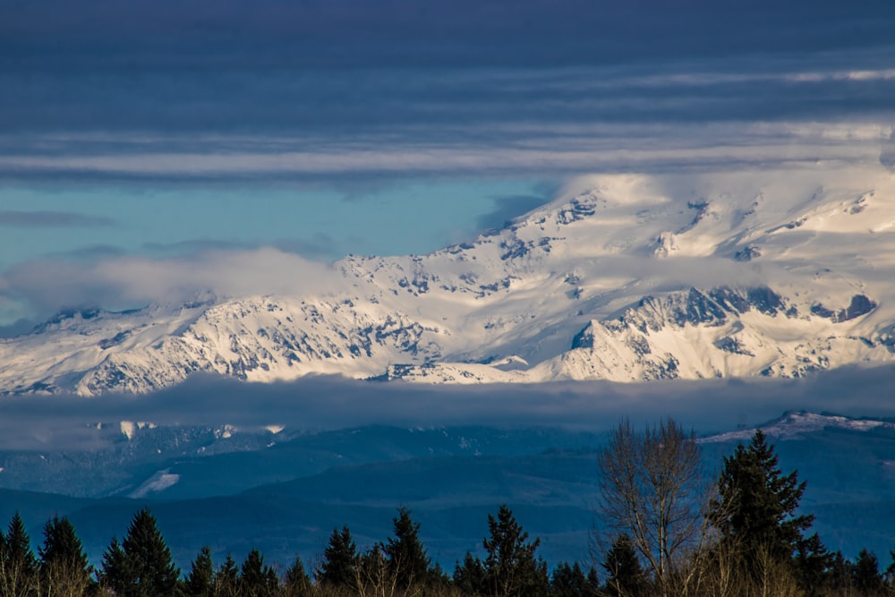 a snow covered mountain with trees in the foreground