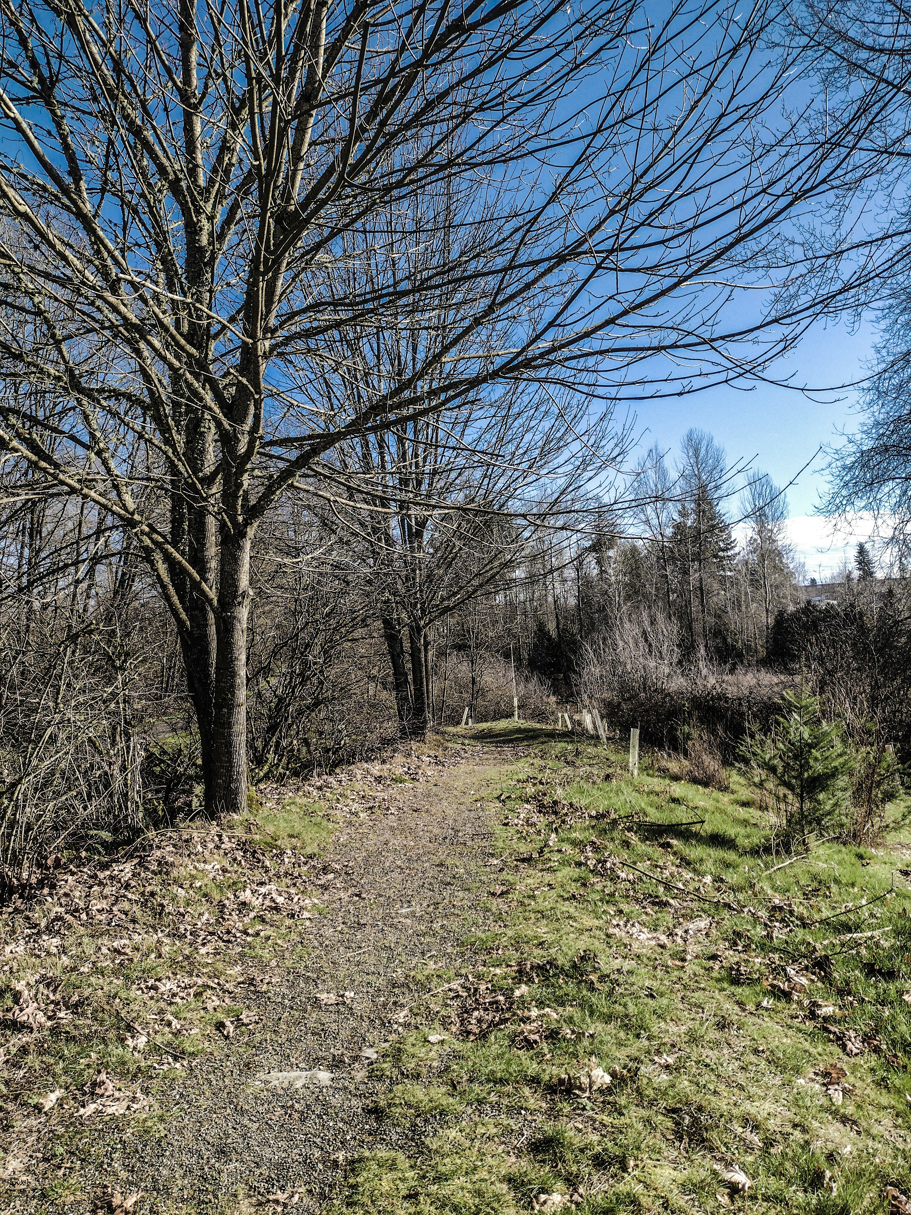 Photo by prphotography262