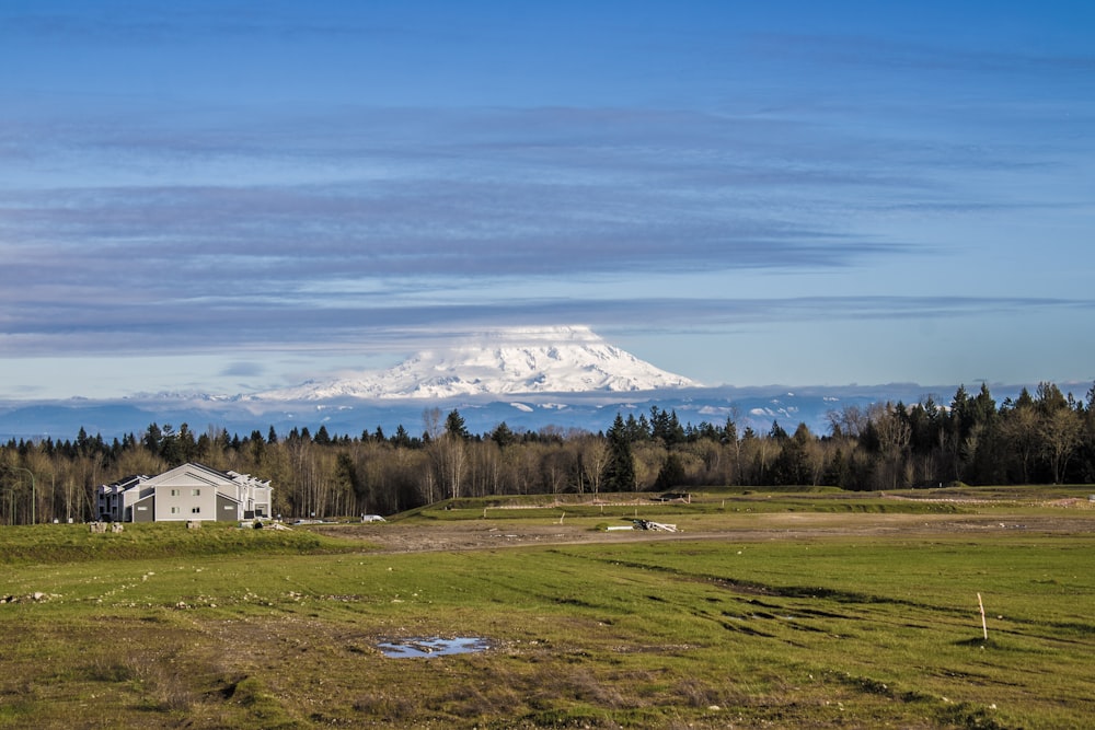 a house in a field with a mountain in the background