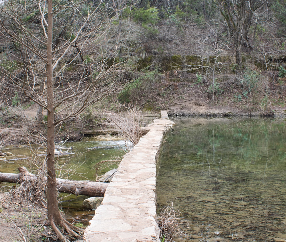 a stone path leading to a body of water