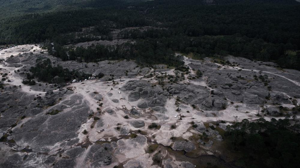 an aerial view of a rocky area with trees