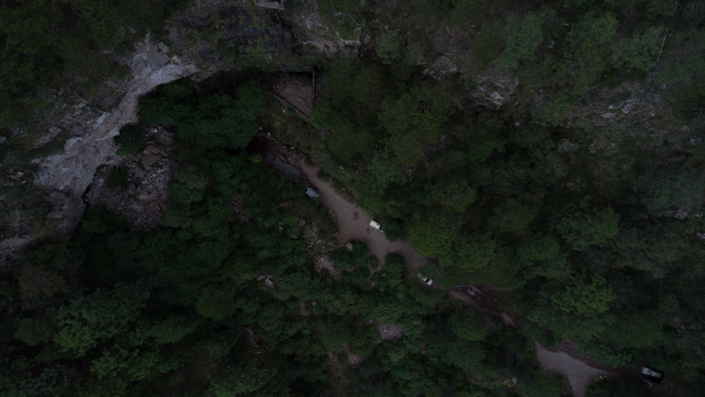 an aerial view of a road in the middle of a forest