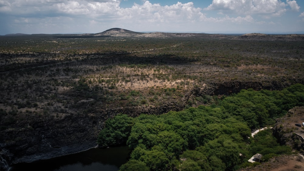 an aerial view of a river running through a forest