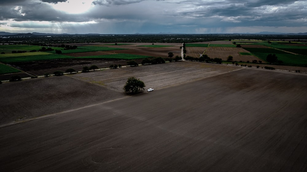 a lone tree in a field under a cloudy sky